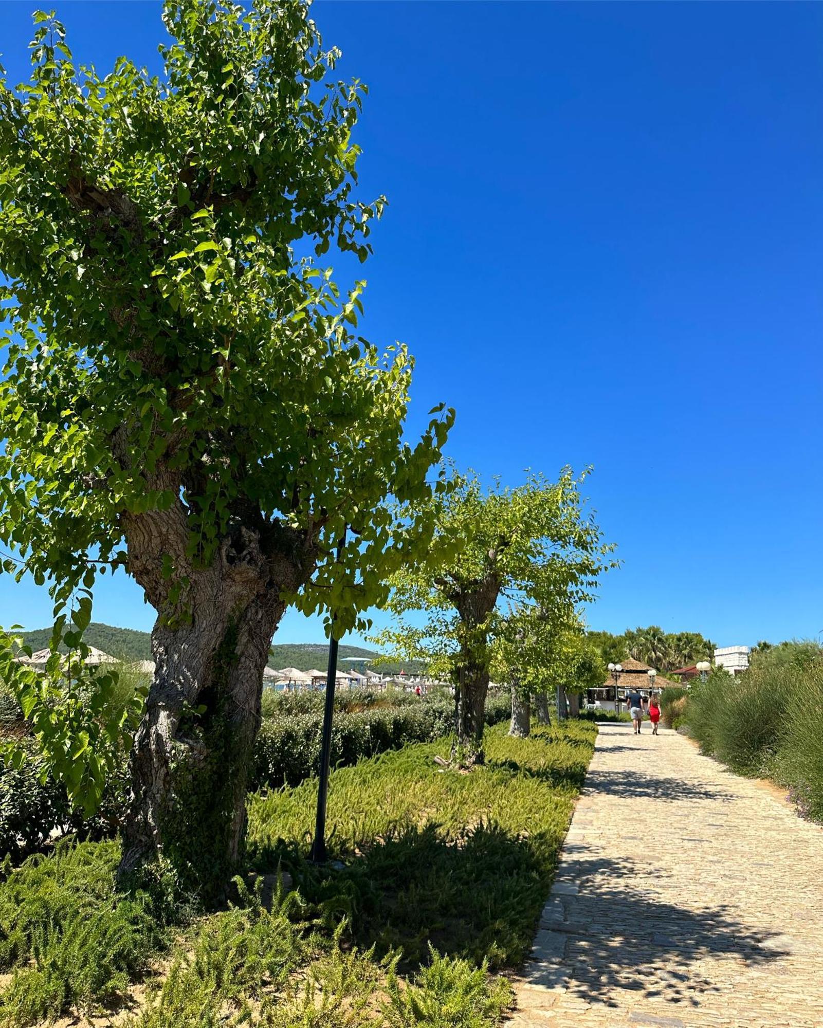 Villa Doris, Amadria Park Šibenik Екстериор снимка